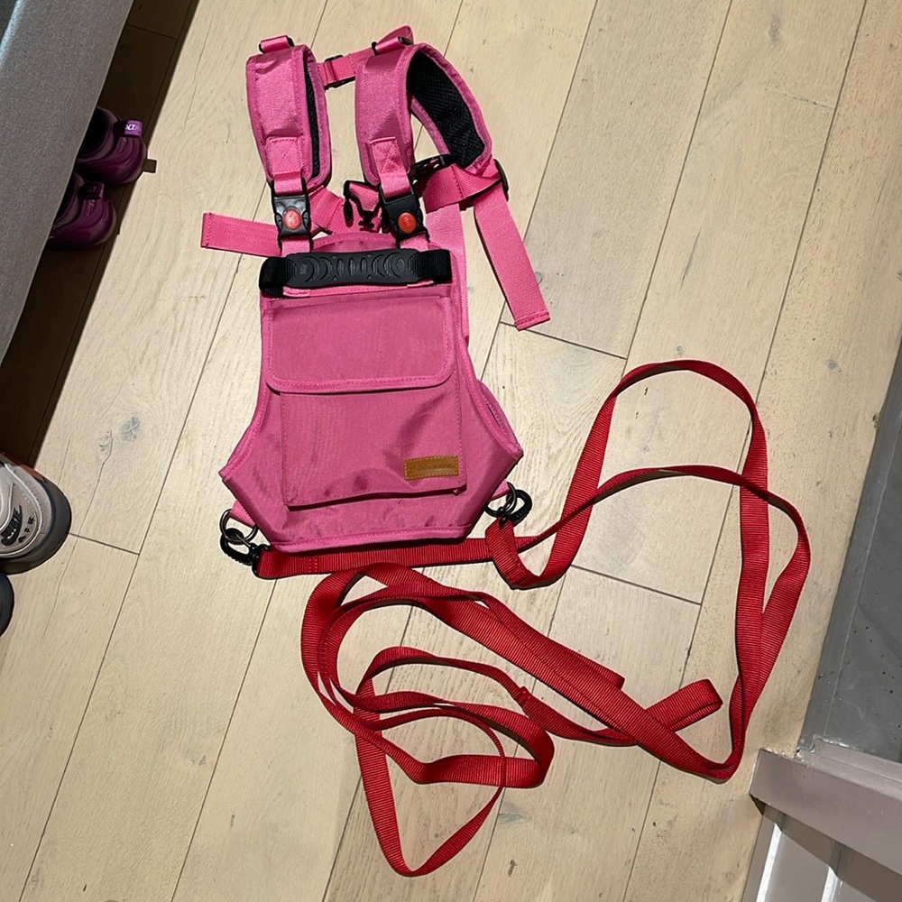 Ski harness and leash